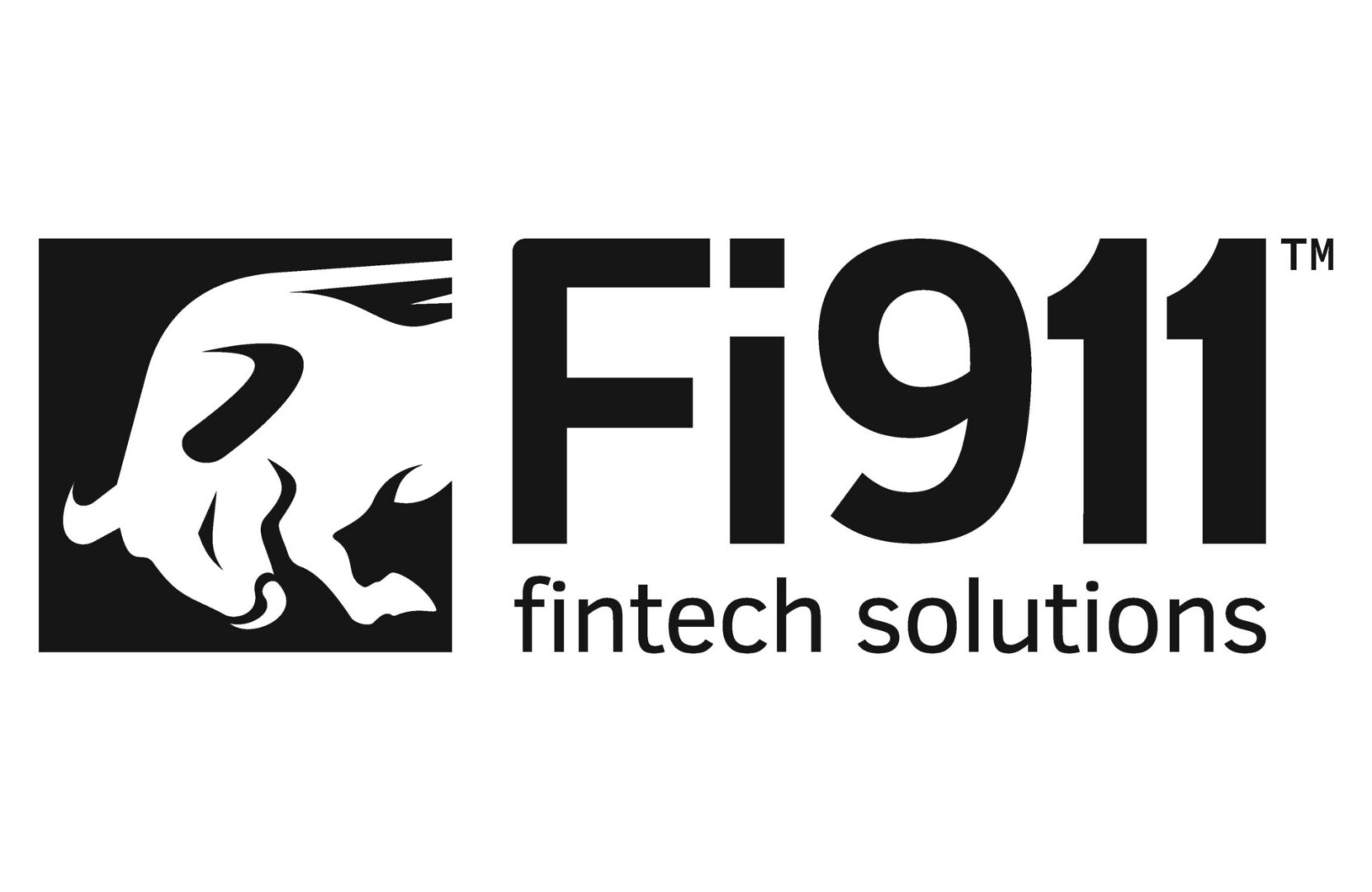 Fi911-1c